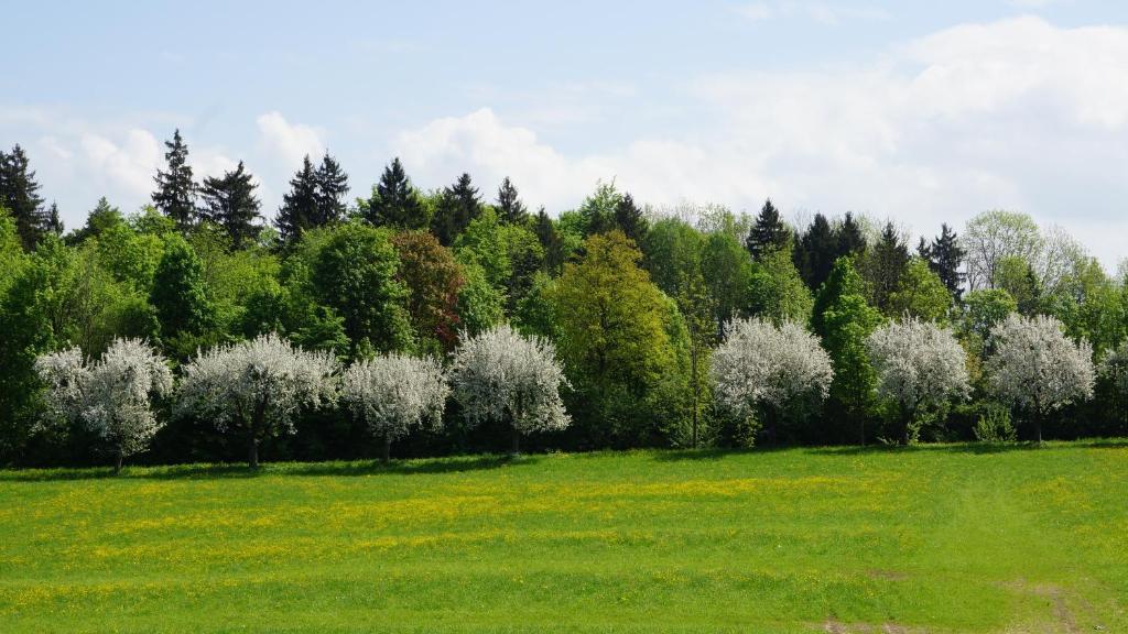 Gaestehaus Funk Bad Feilnbach Dış mekan fotoğraf