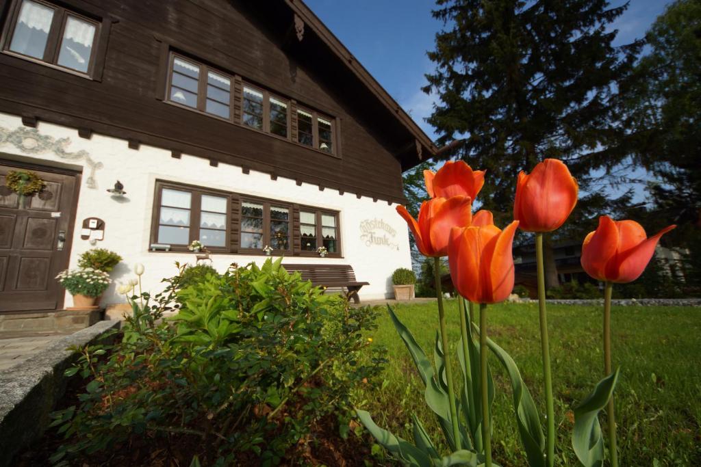 Gaestehaus Funk Bad Feilnbach Dış mekan fotoğraf